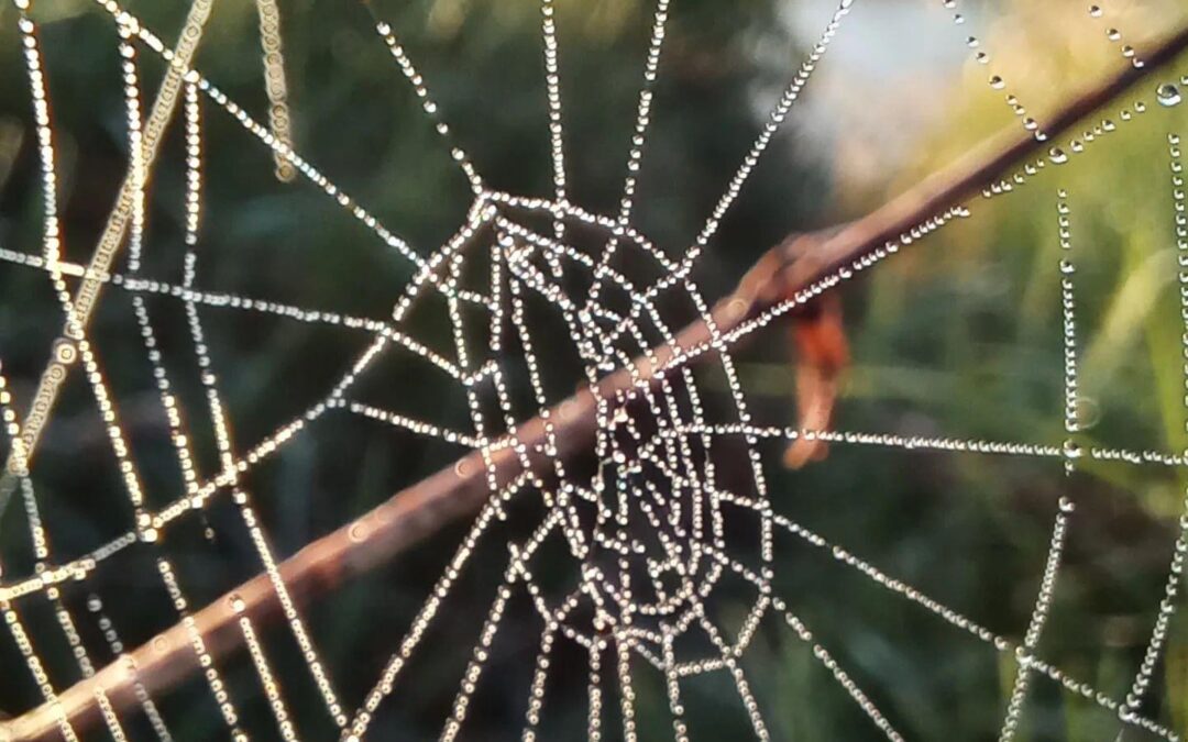 Dlaczego warto uczyć się historii?