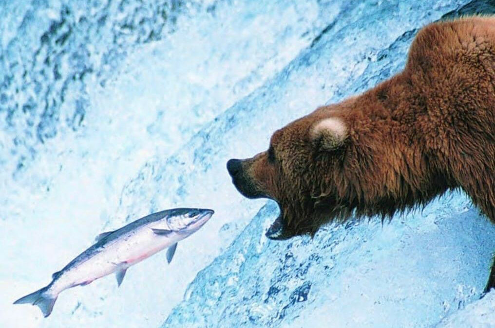 Czy jeszcze potrzebujemy niepodległości?