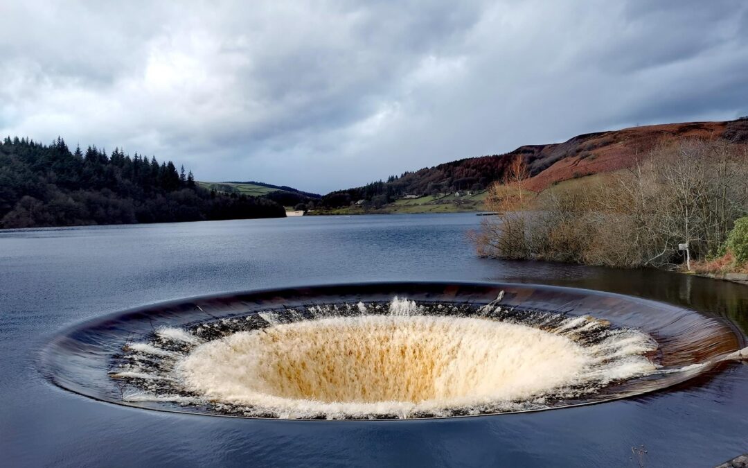 „Dajcie mi to czego chcę a odejdę”