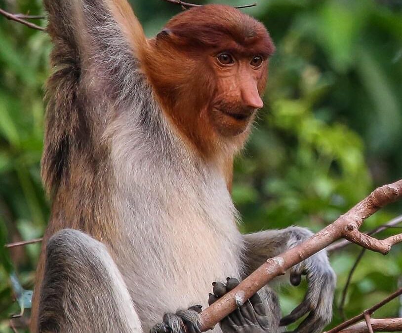 Uśmiechnięta Polska