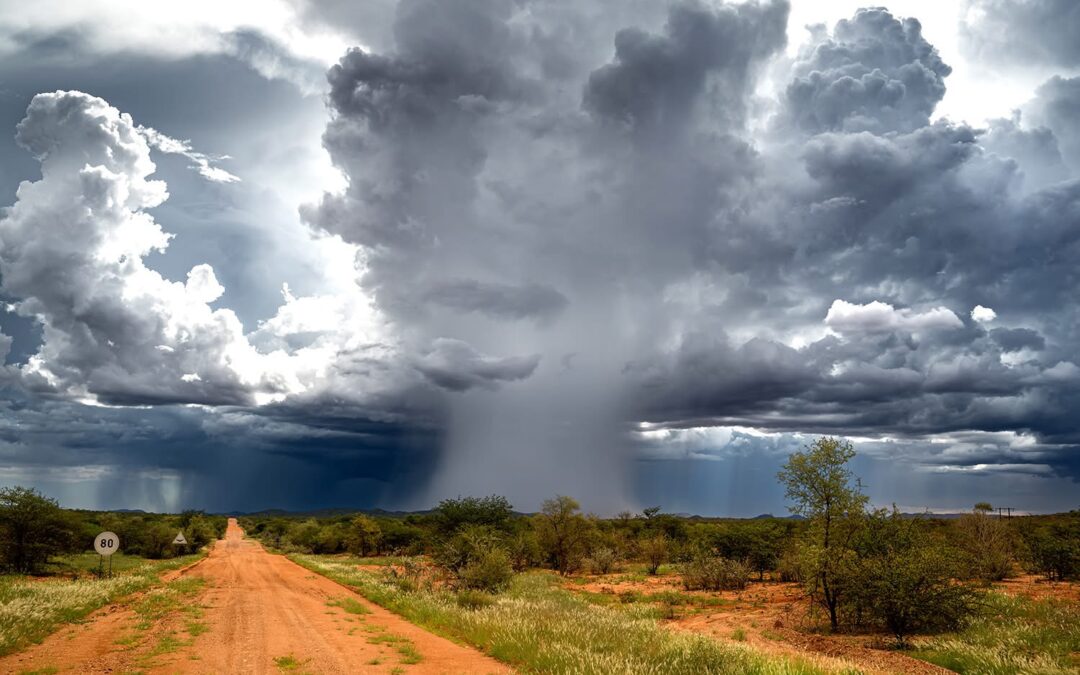 Obóz Świętych i jego głupcy – część pierwsza