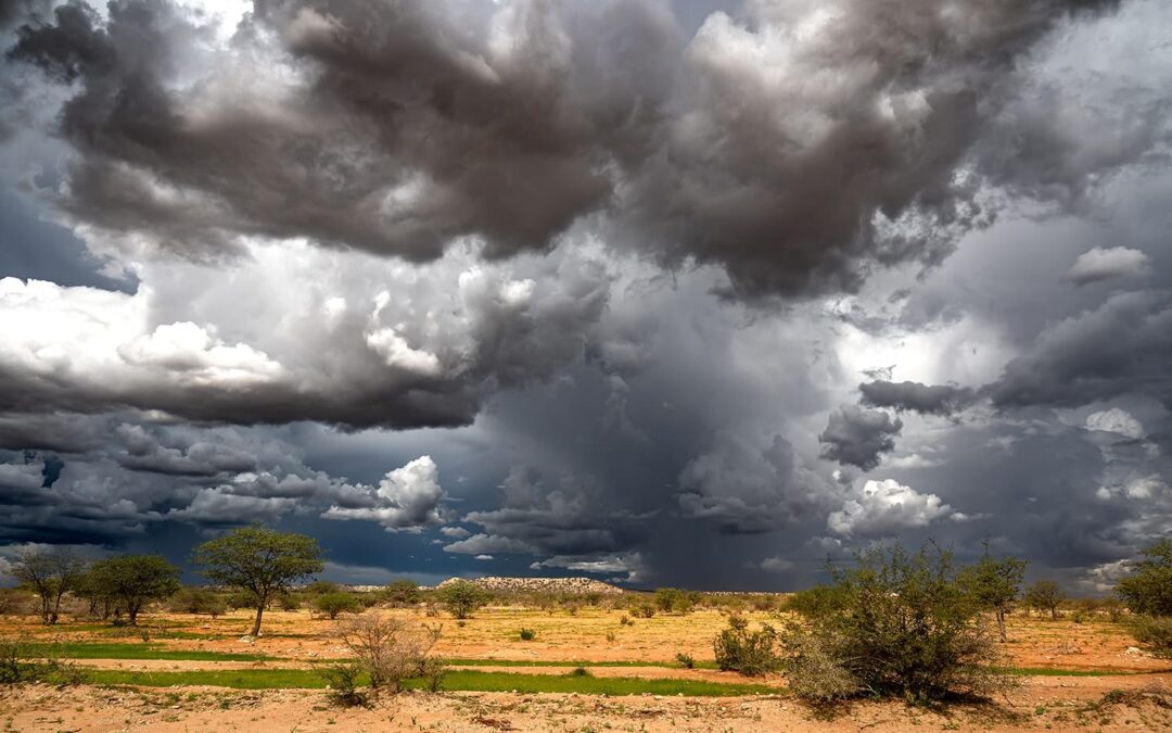 Obóz Świętych i jego głupcy – część druga