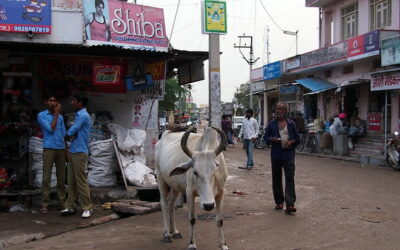 Świętości liberalnej lewicy
