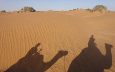 Wobec Prezydenta, czyli „nie-wobec” Prezydenta